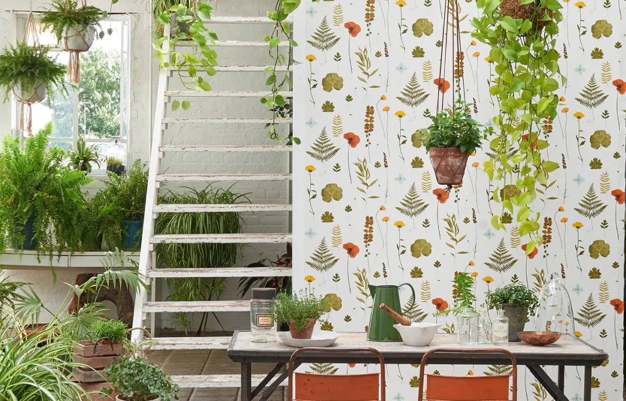 Home Point Gympie Room Wallpaper Image